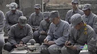 延安颂全集在线观看,重温革命岁月，传承红色精神